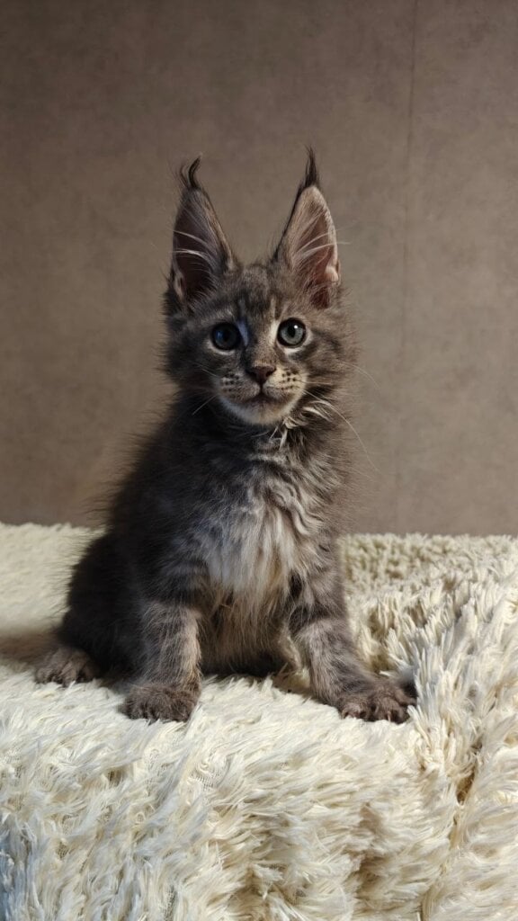 Photo 2026 04 20 22 52 06 4