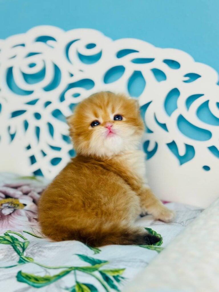 Photo 2026 04 21 14 02 35 2