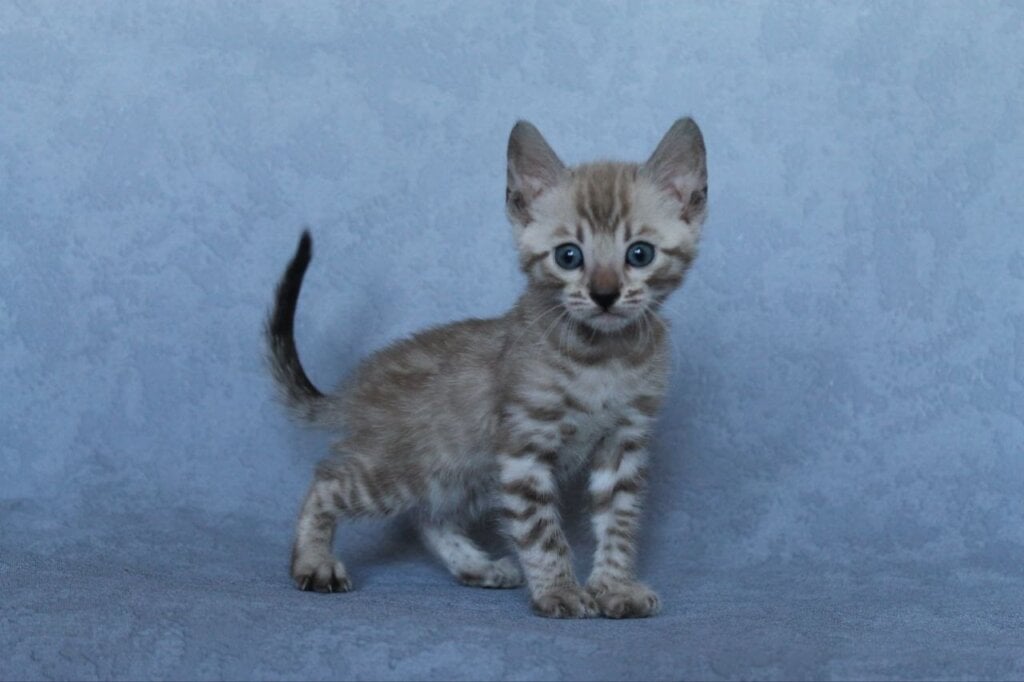 Photo 2026 04 22 17 19 05 1