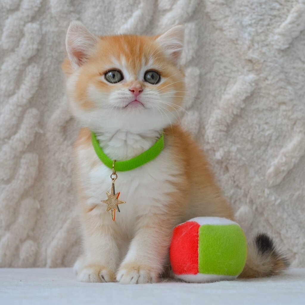 Photo 2026 04 22 20 07 50