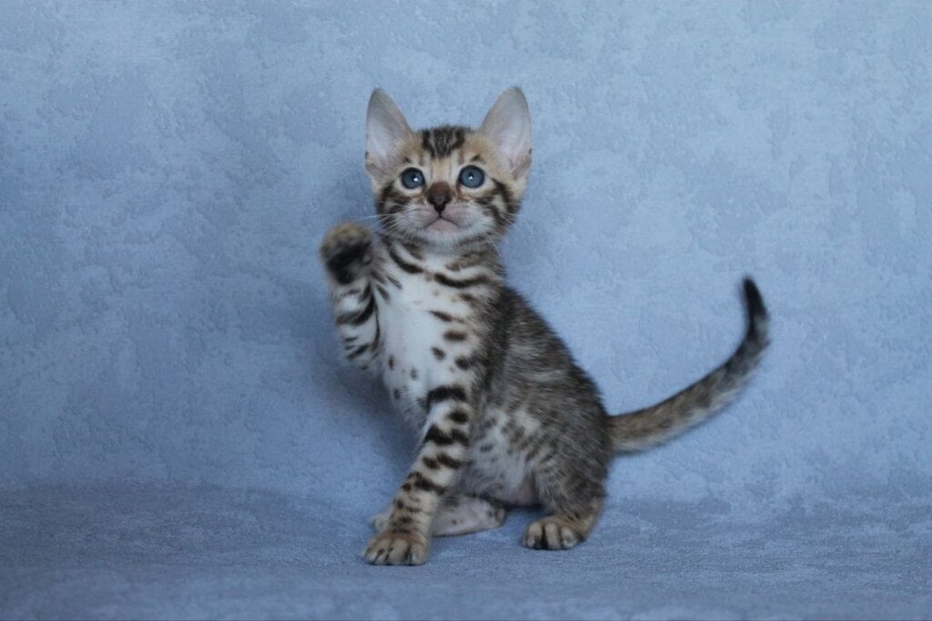 Photo 2026 04 23 12 15 33