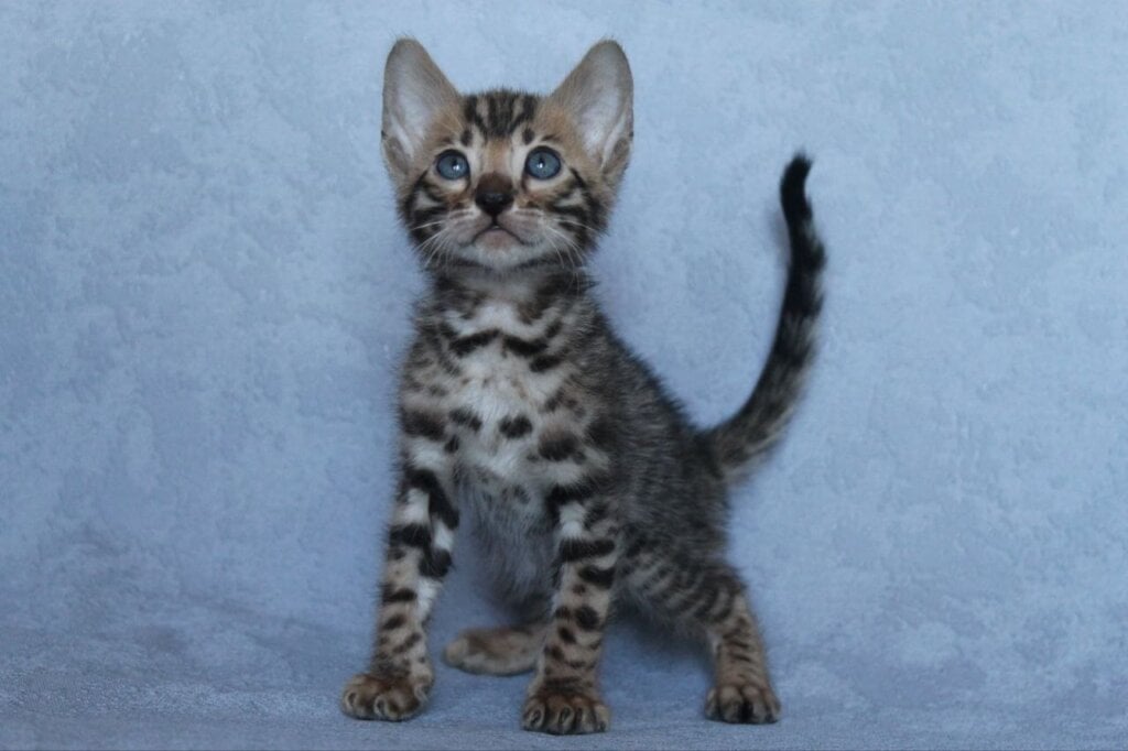 Photo 2026 04 23 12 16 44