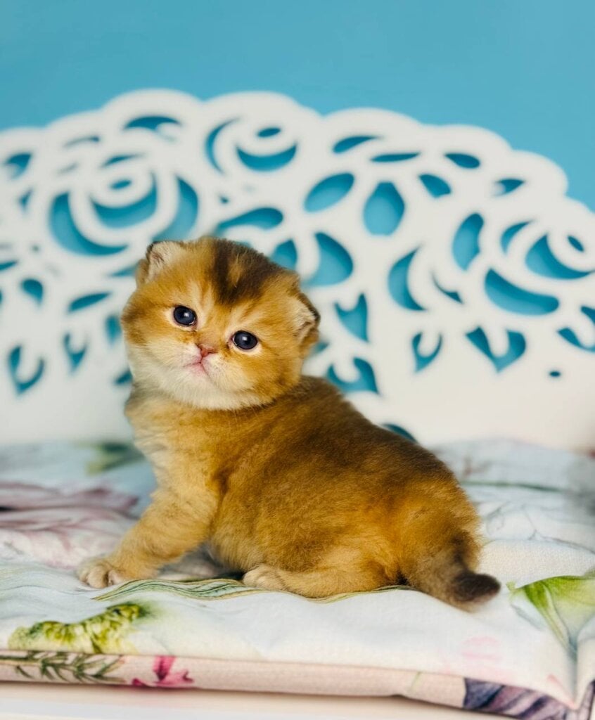 Photo 2026 04 23 15 47 40