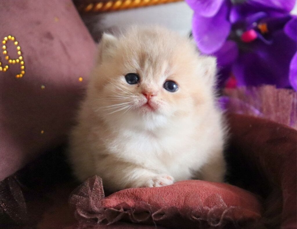 Photo 2026 04 23 18 23 17 2