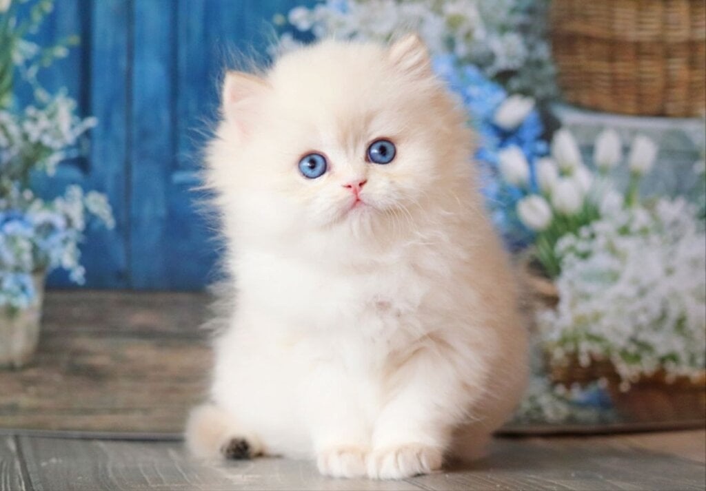 Photo 2026 04 24 16 29 42 3