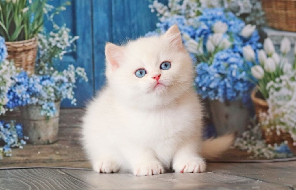 Photo 2026 04 24 16 31 30 4