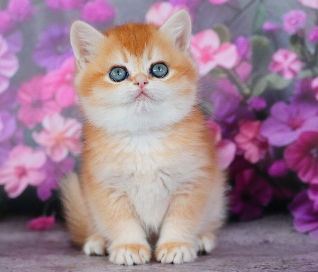 Photo 2026 04 24 16 33 11 2