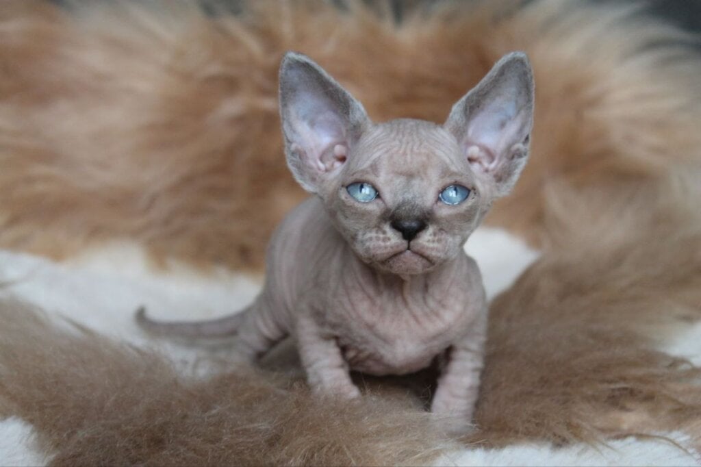 Photo 2026 04 24 16 59 01