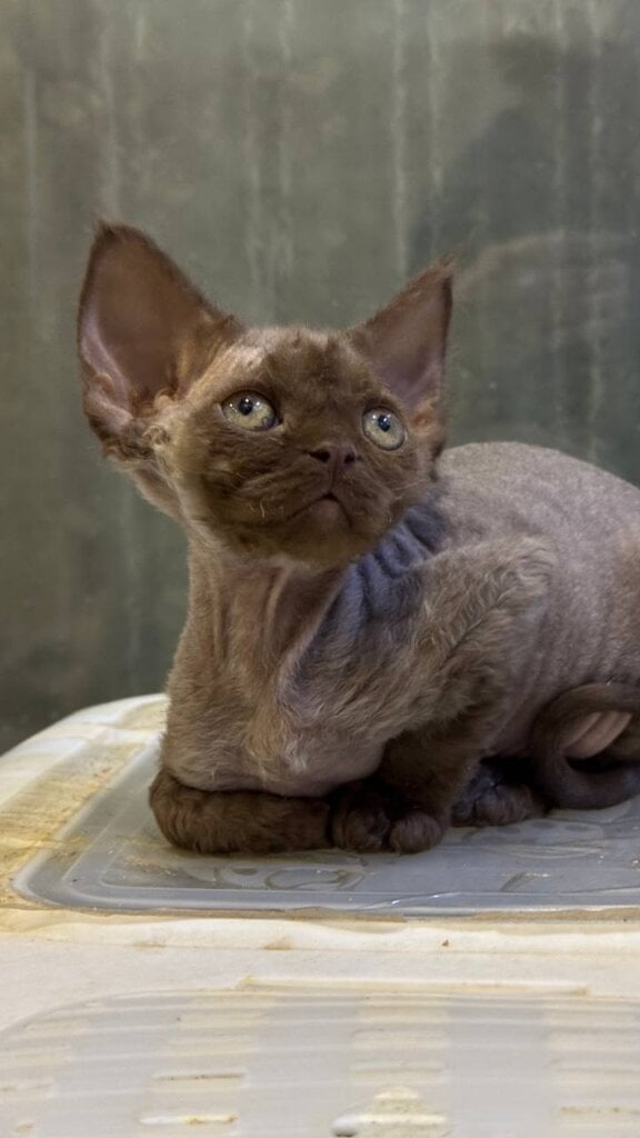 Photo 2026 04 24 22 07 09 2