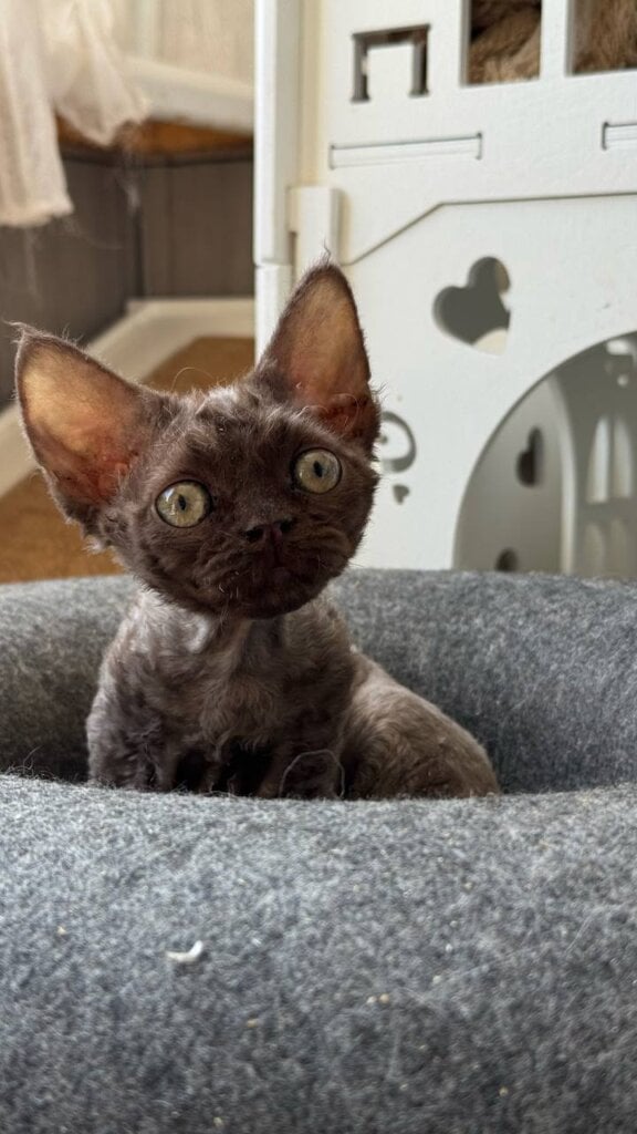 Photo 2026 04 24 22 15 18 2