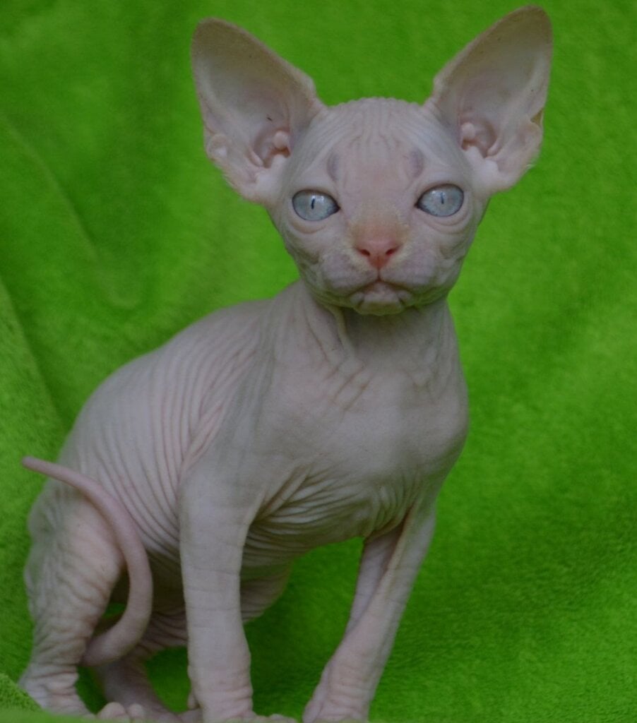 Photo 2026 04 25 01 01 31 3