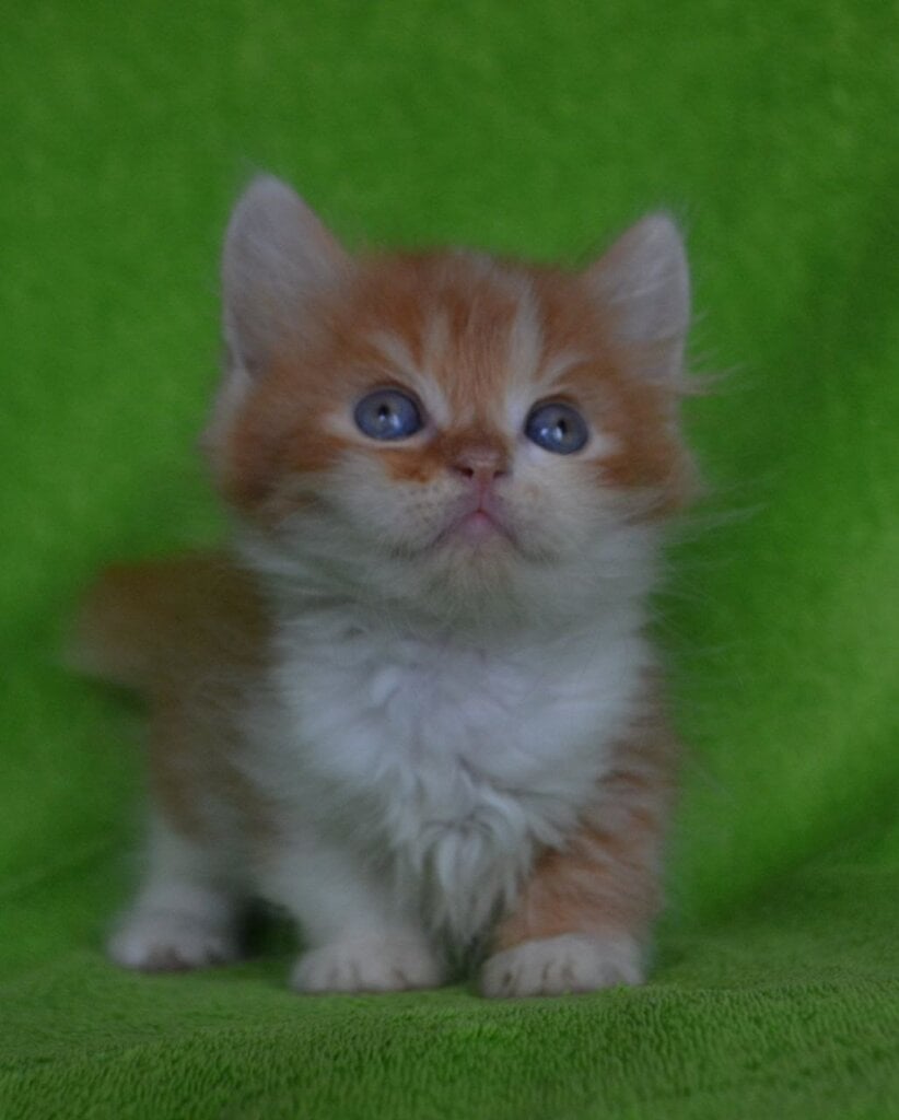 Photo 2026 04 25 01 13 39