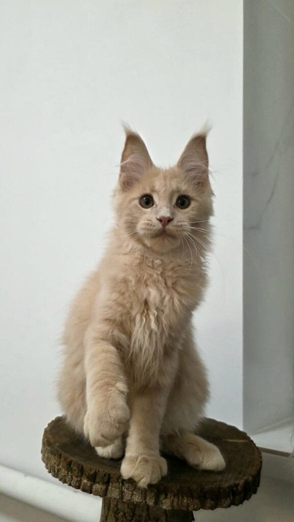 Photo 2026 04 25 20 30 12 2