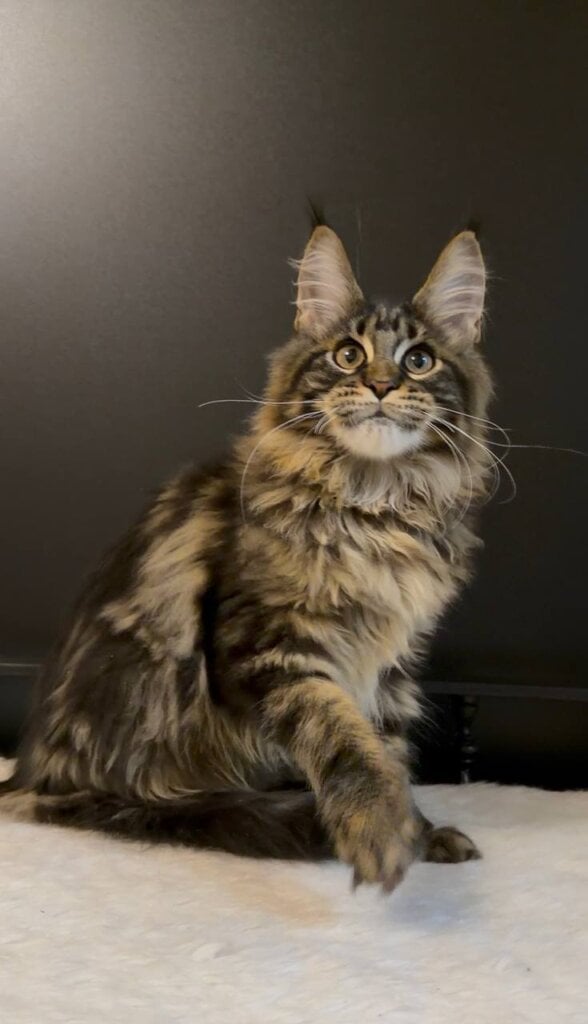 Photo 2026 04 26 15 40 27 2