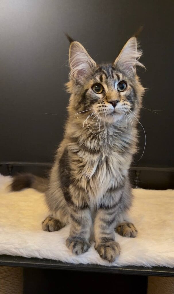 Photo 2026 04 26 16 02 27 2