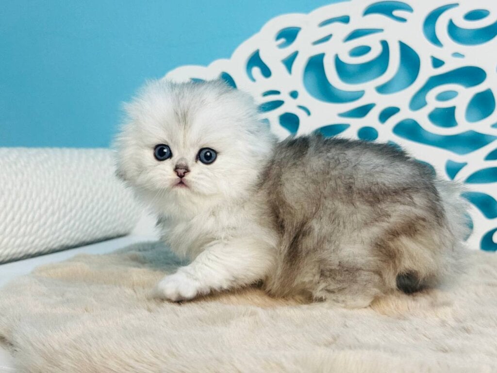 Photo 2026 04 26 17 55 20