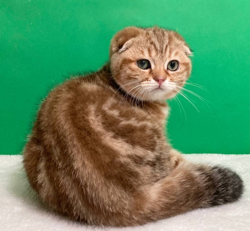 Photo 2026 04 27 15 16 55