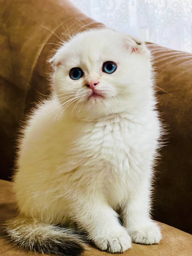 Photo 2026 04 27 15 28 31