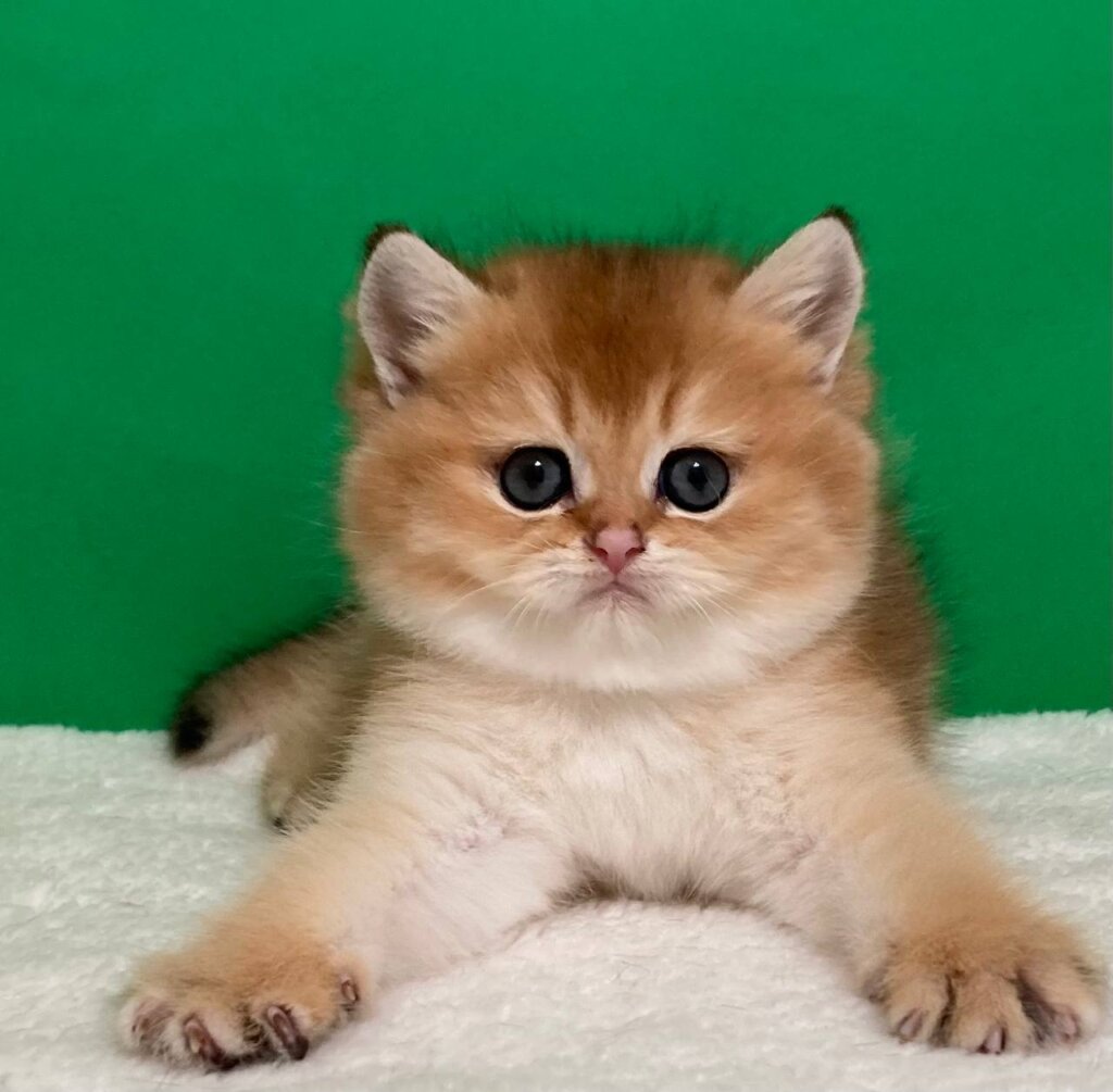 Photo 2026 04 27 15 36 21