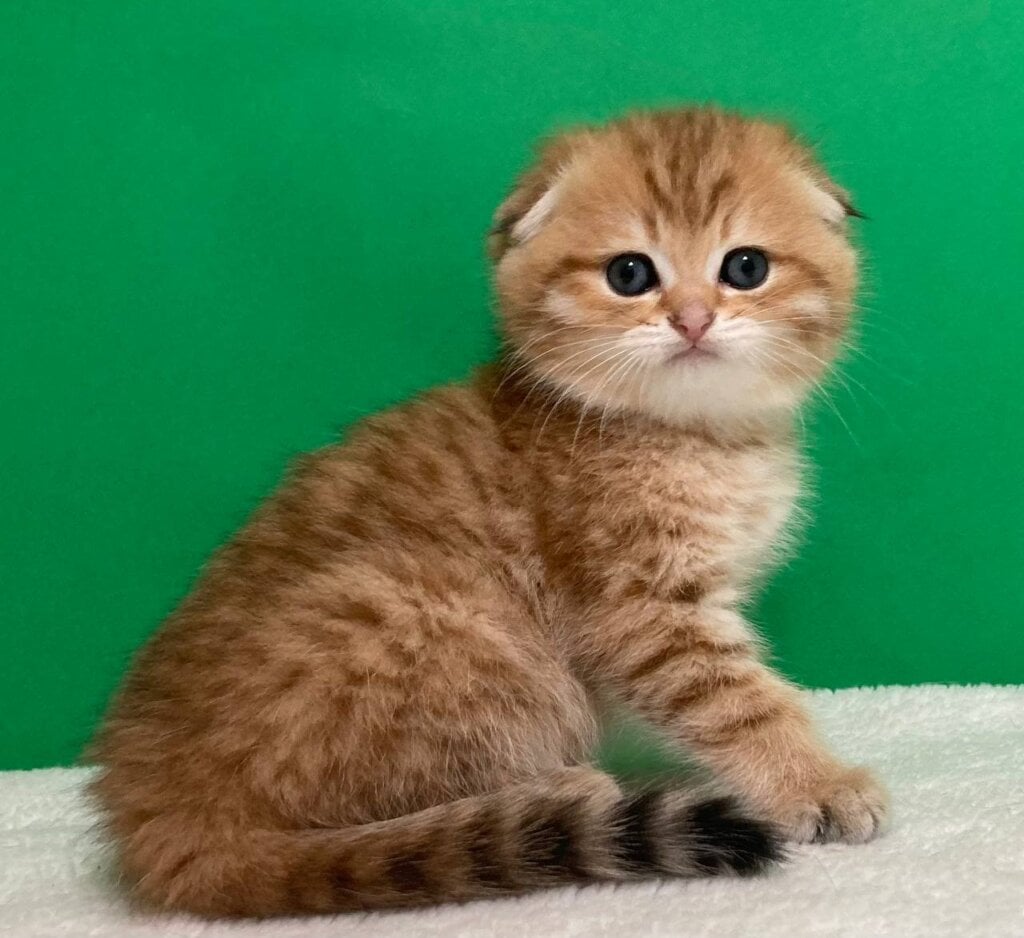 Photo 2026 04 27 15 46 51