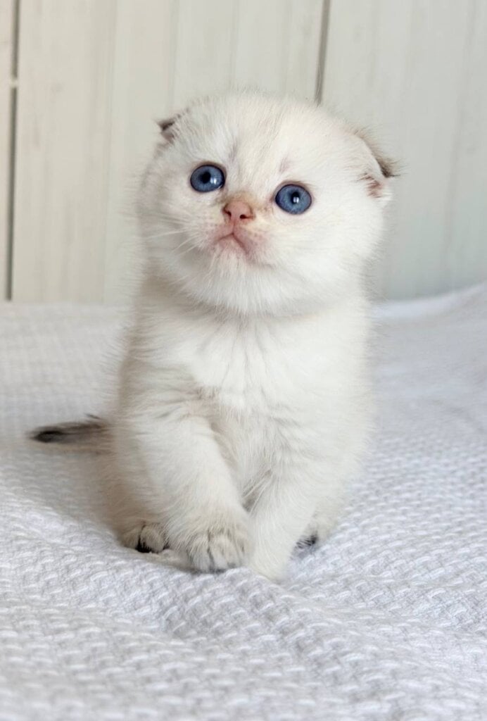 Photo 2026 04 27 17 12 55