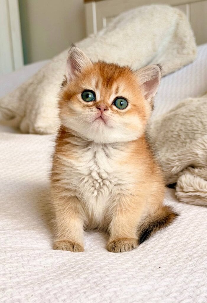 Photo 2026 04 27 17 18 44