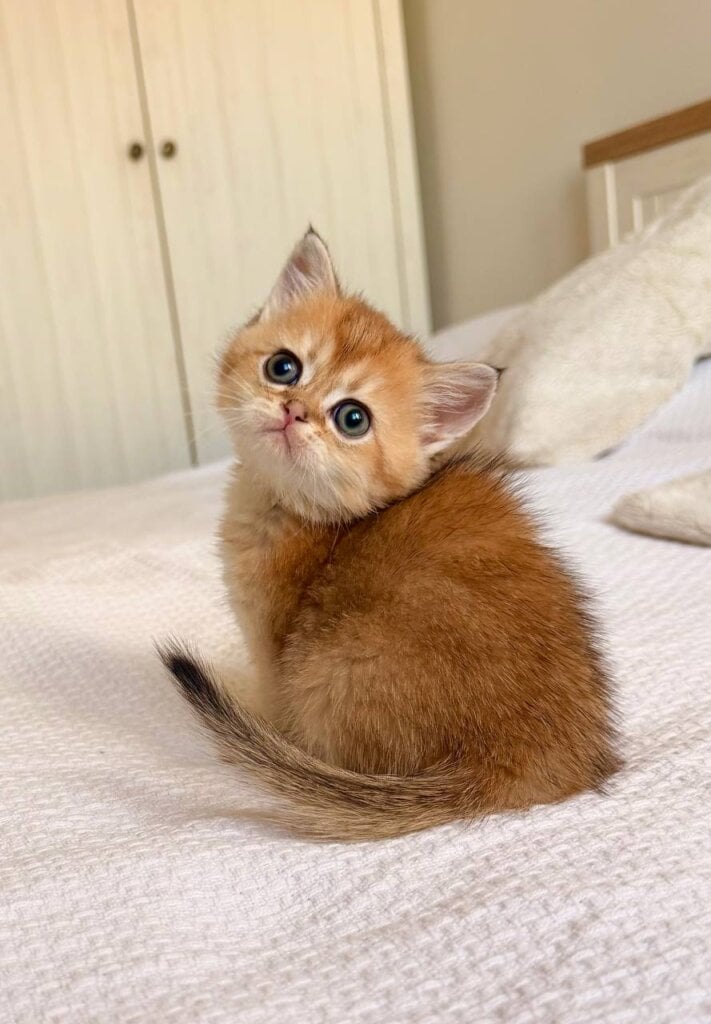 Photo 2026 04 27 17 21 39