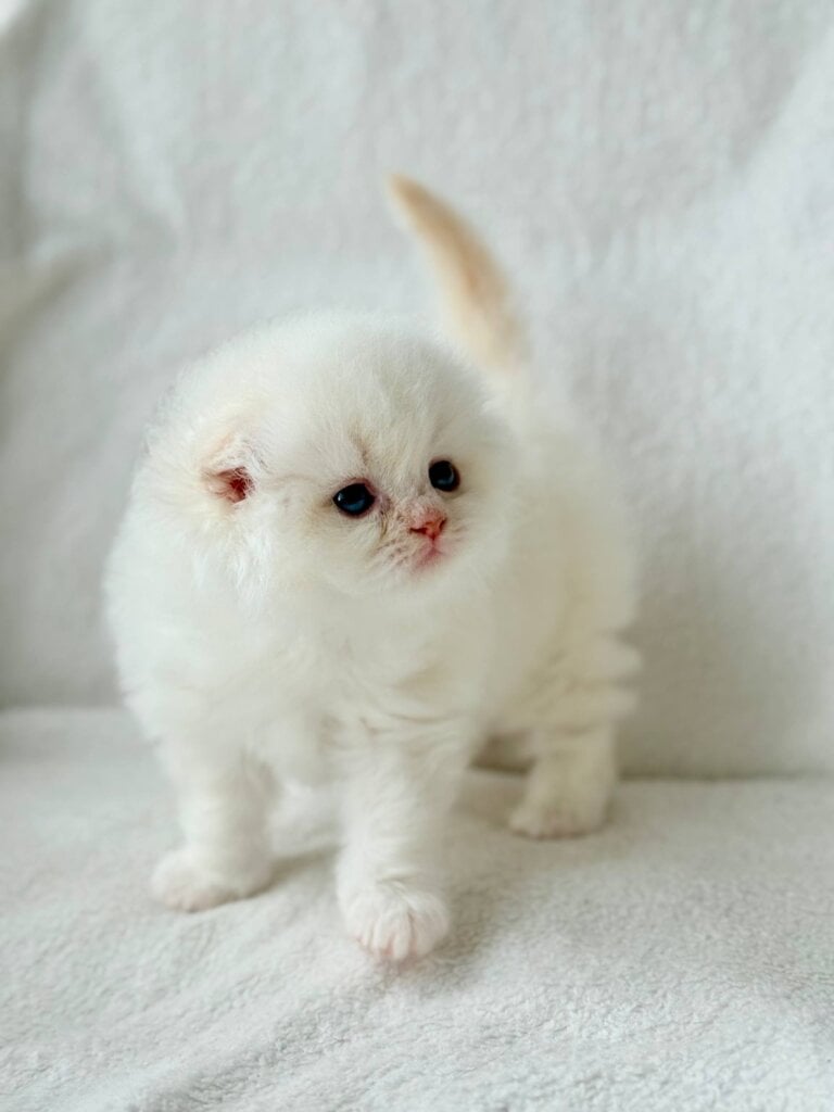 Photo 2026 04 27 19 50 48 2