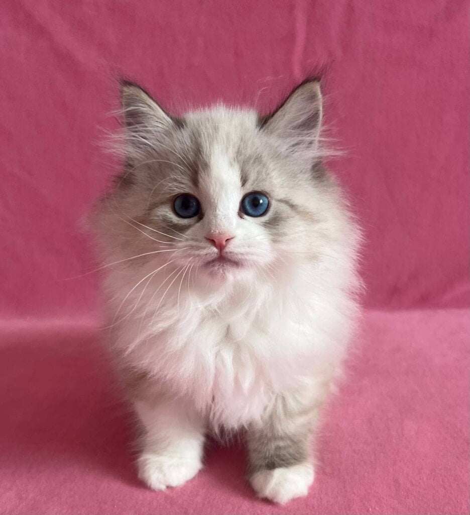 Photo 2026 04 27 21 31 42