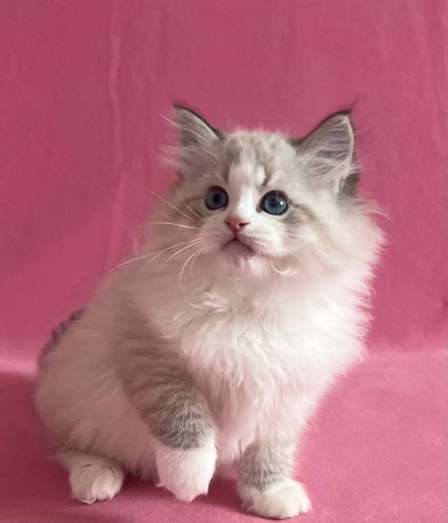 Photo 2026 04 27 21 52 18