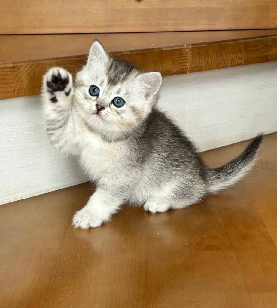 Photo 2026 04 28 09 07 39 2