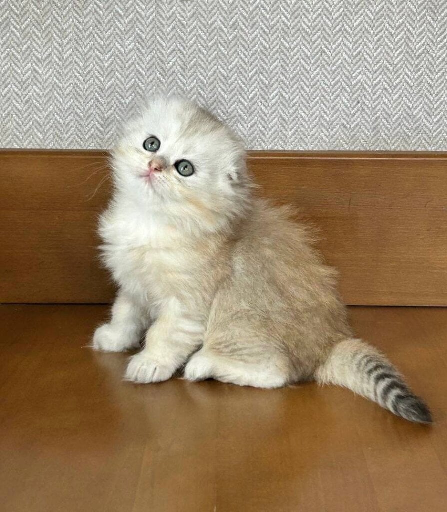 Photo 2026 04 28 09 08 29