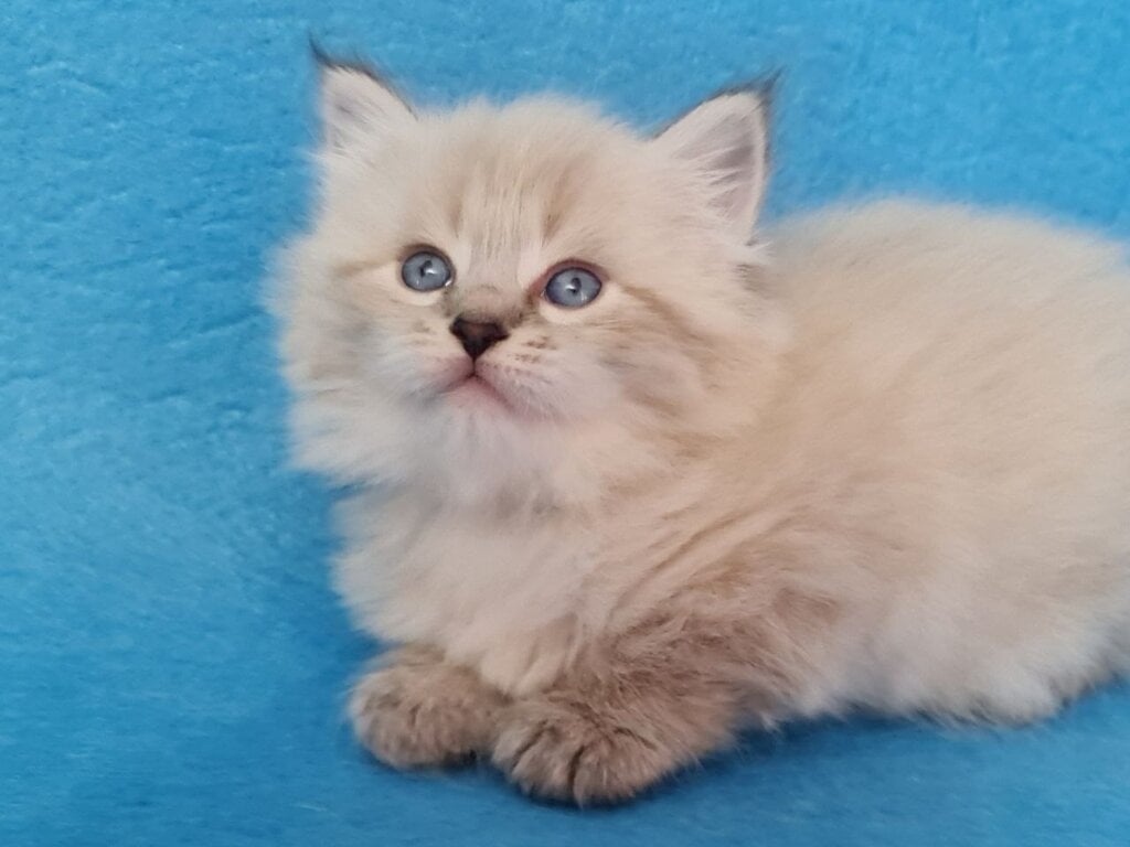 Photo 2026 04 28 17 57 49