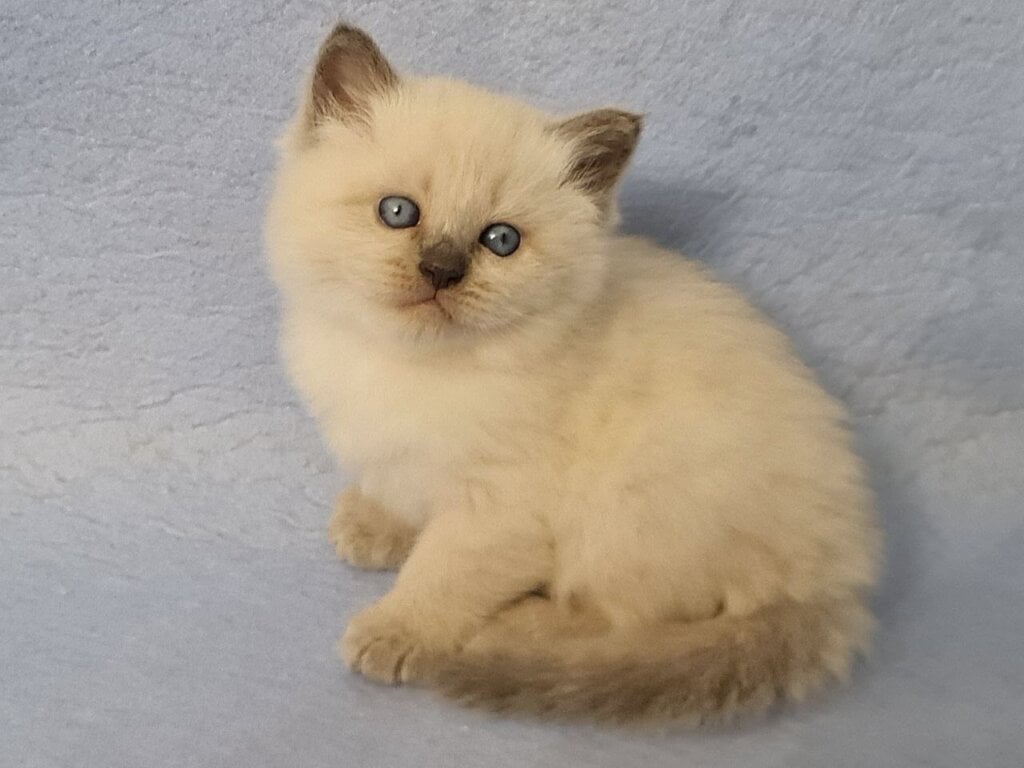 Photo 2026 04 28 17 59 58