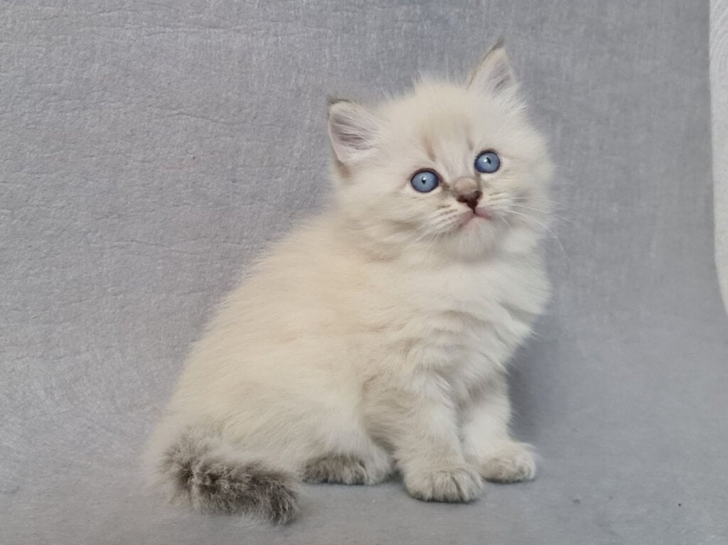 Photo 2026 04 28 18 10 21 2