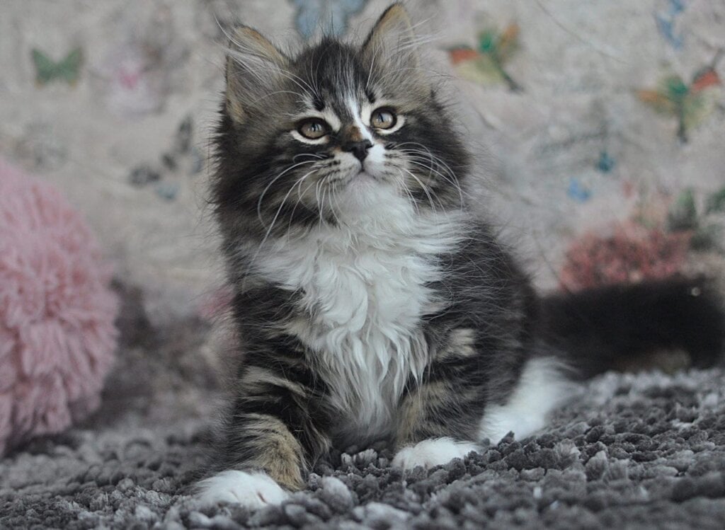 Photo 2026 04 29 07 45 39