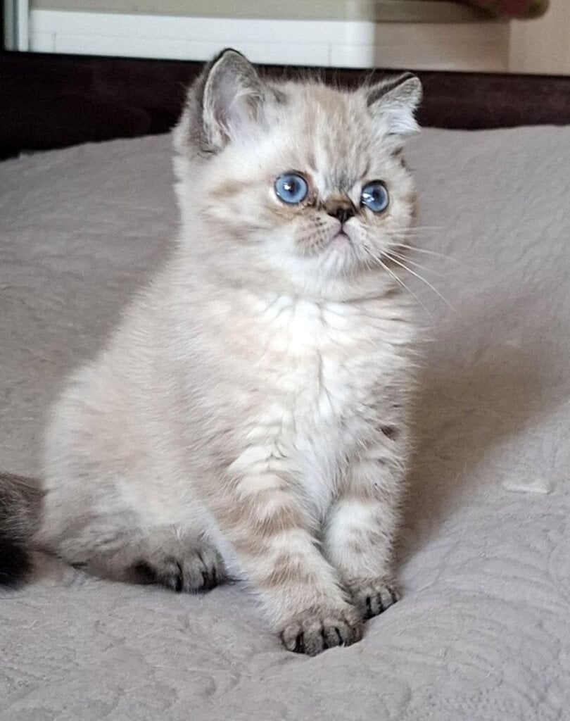 Photo 2026 04 30 02 30 21 2