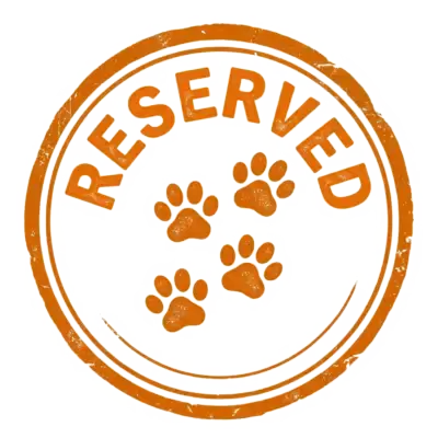 Stamp Orange