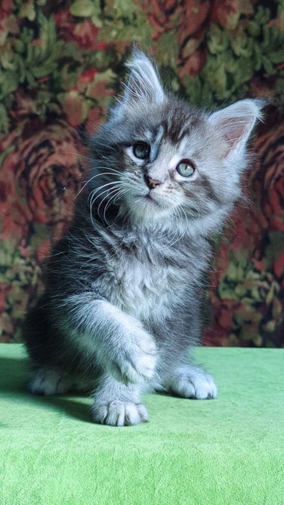 Photo 2026 05 10 18 49 52 2