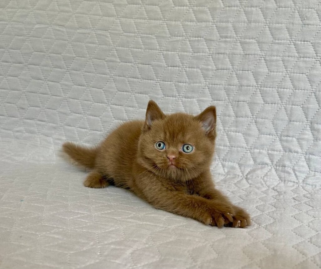 Photo 2026 06 08 09 47 39 7