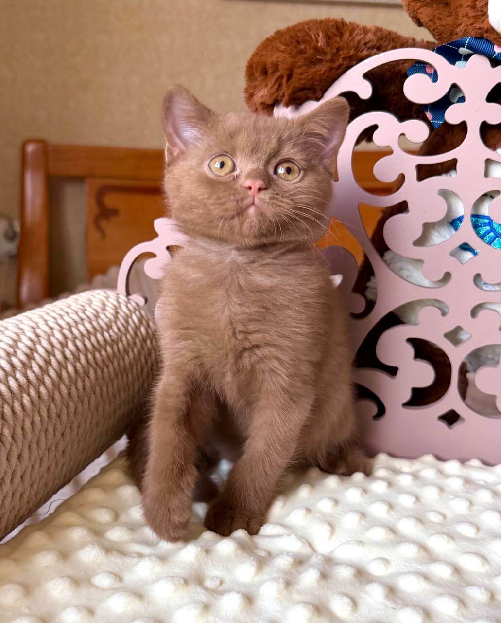 2026 08 01 21.50.25