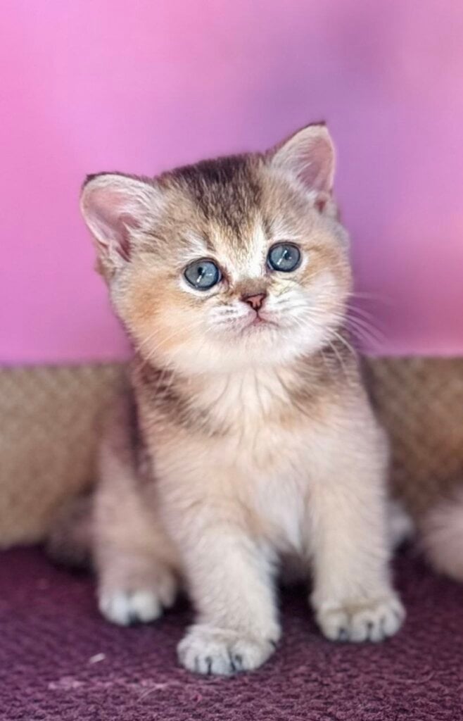 Photo 2026 08 13 01 30 02
