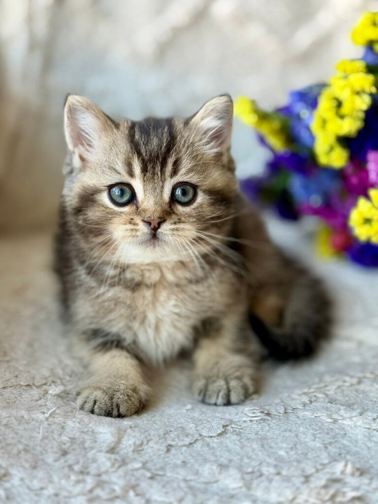 изображение Viber 2026 08 27 20 22 53 653