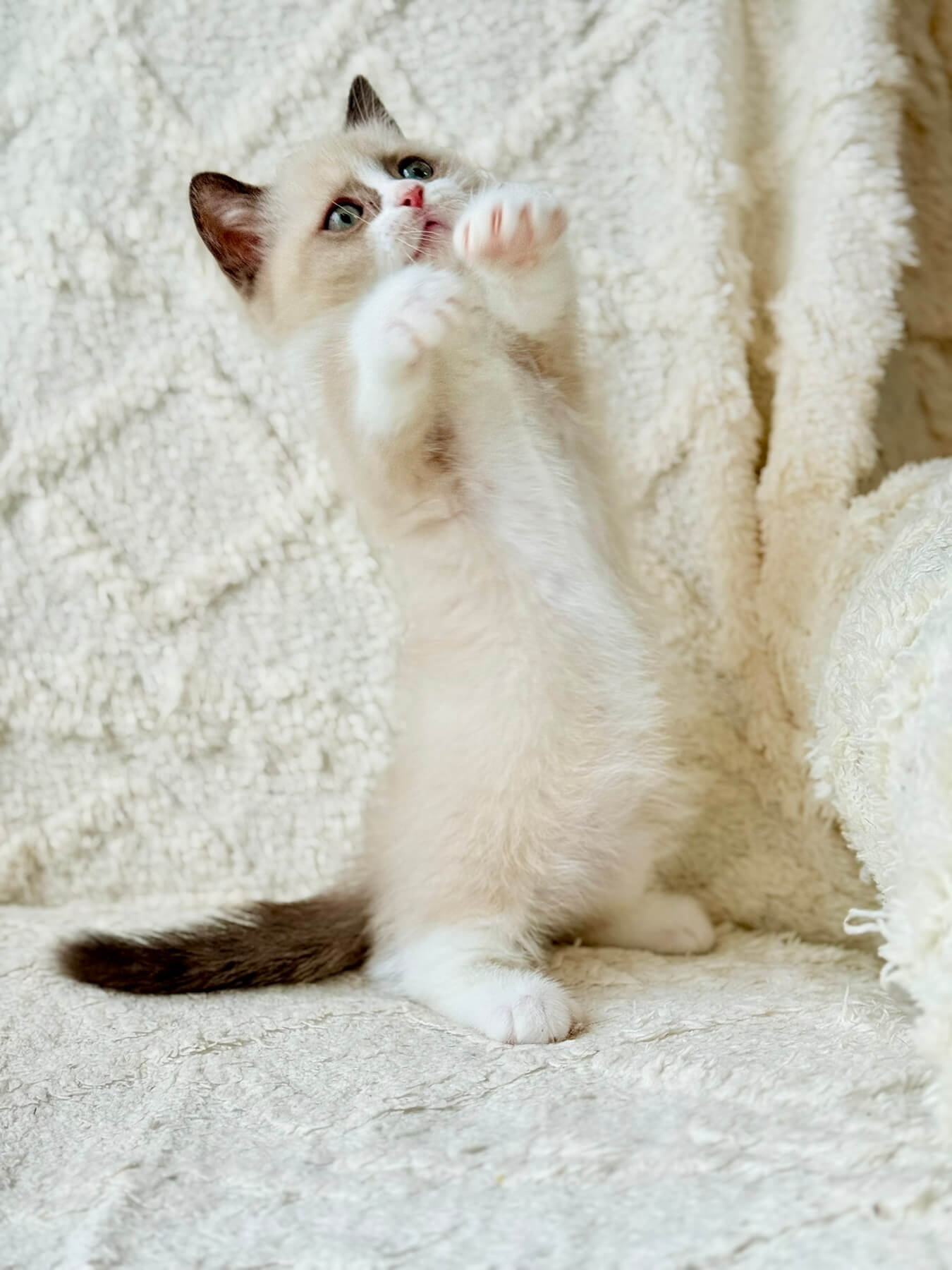 изображение Viber 2026 09 29 17 13 03 543
