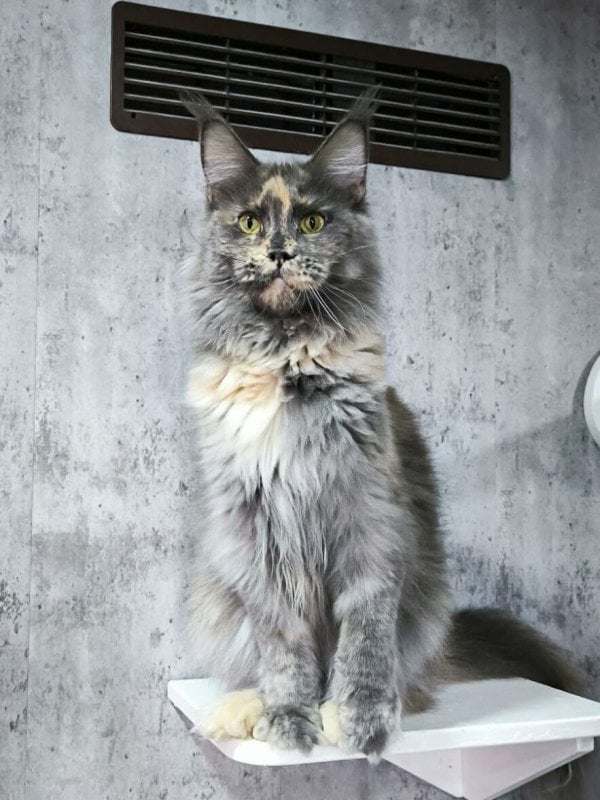 Photo 2025 11 22 12 38 53