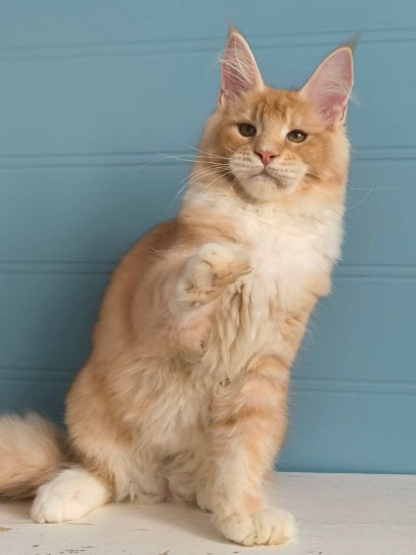 Photo 2026 04 13 10 27 43