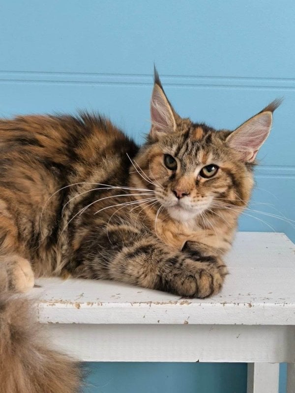 Photo 2026 04 13 10 30 21 3